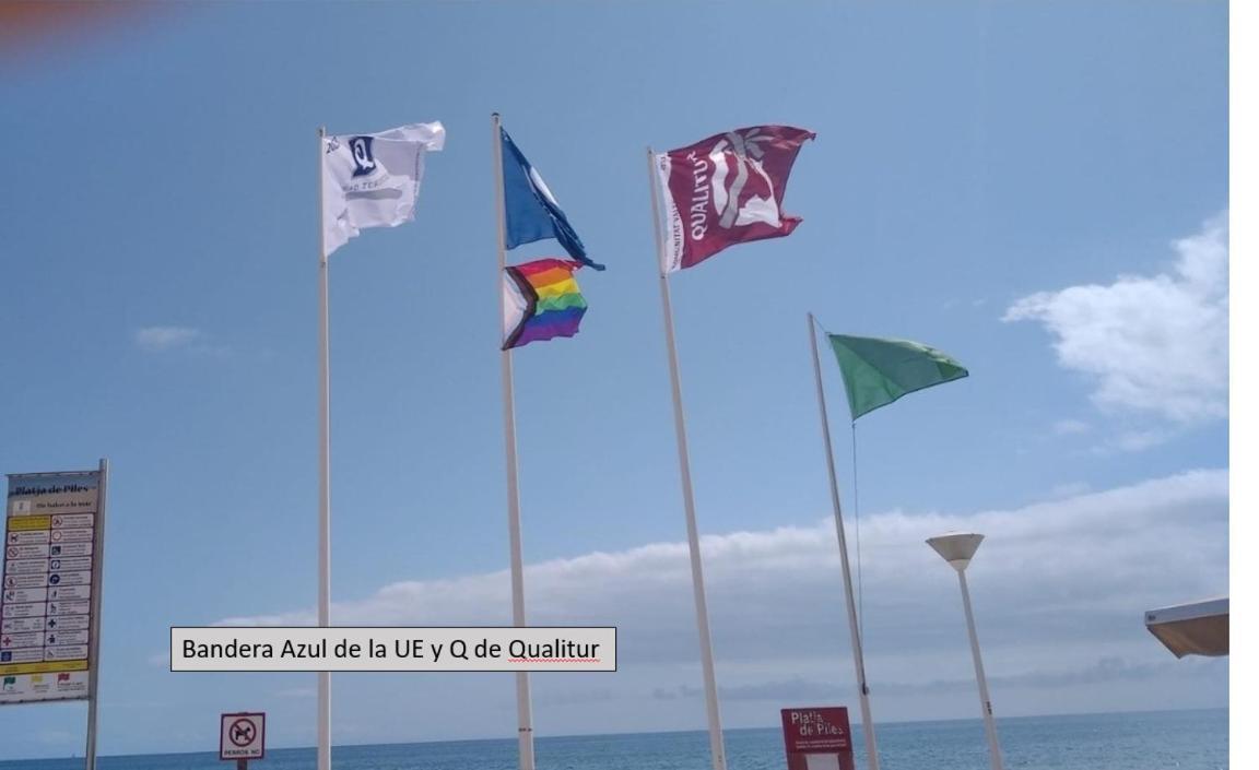 Apartamento En Piles Playa Εξωτερικό φωτογραφία